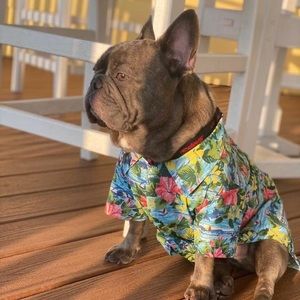 Meet your Posher, Mandy